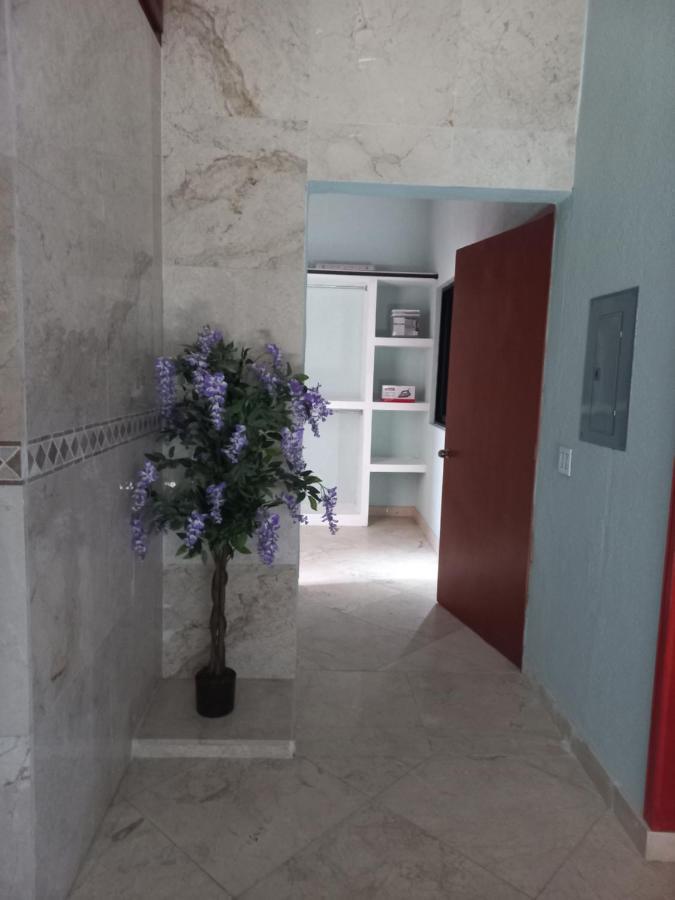 Ferienwohnung Departamento Tayde San José del Cabo Exterior foto